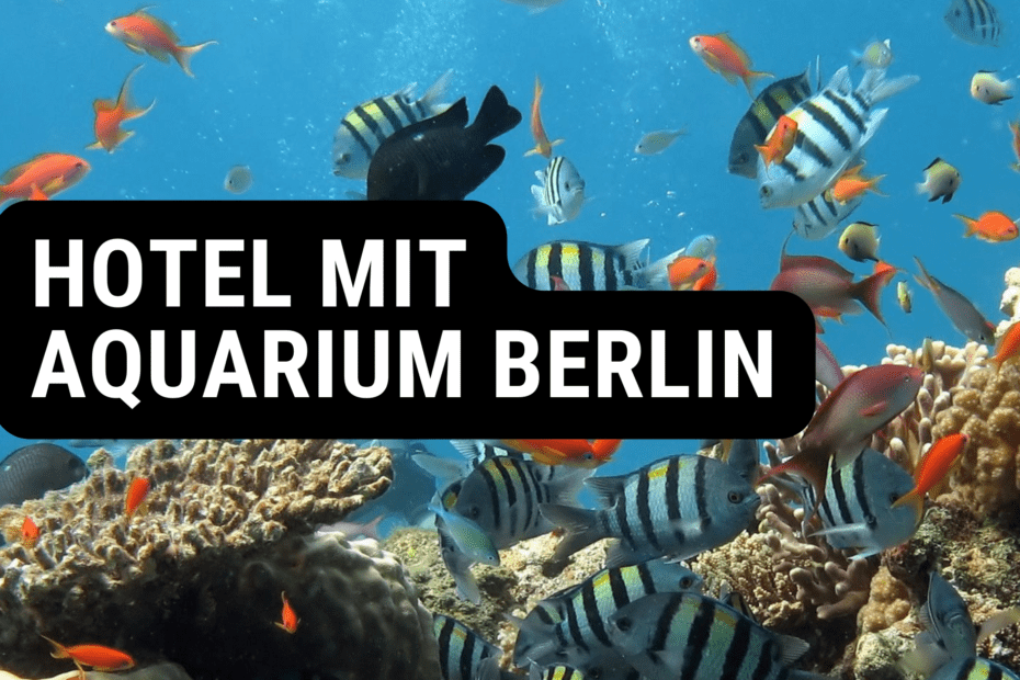 hotel mit aquarium berlin